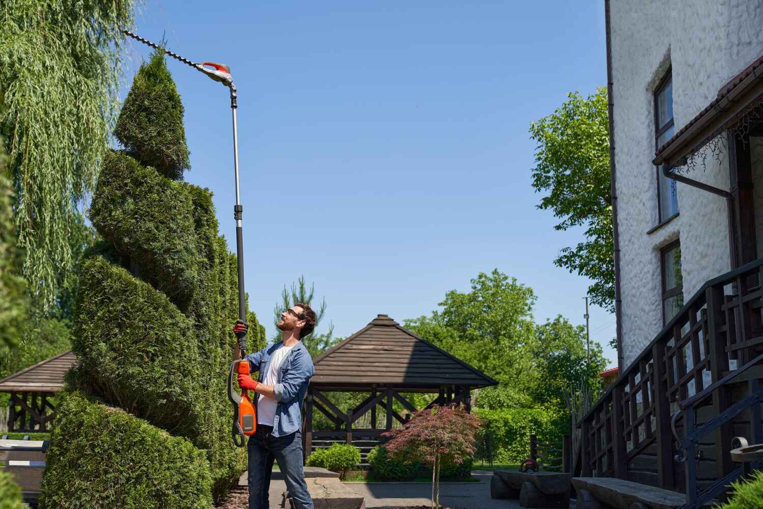 Best Arborist Services Near Me  in Boston, GA